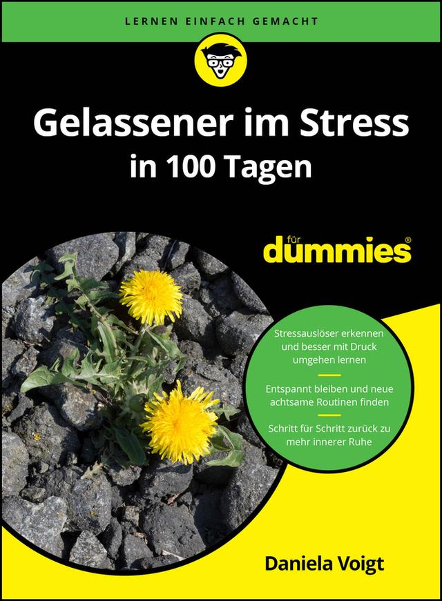 Gelassener im Stress in 100 Tagen für Dummies by Daniela Voigt