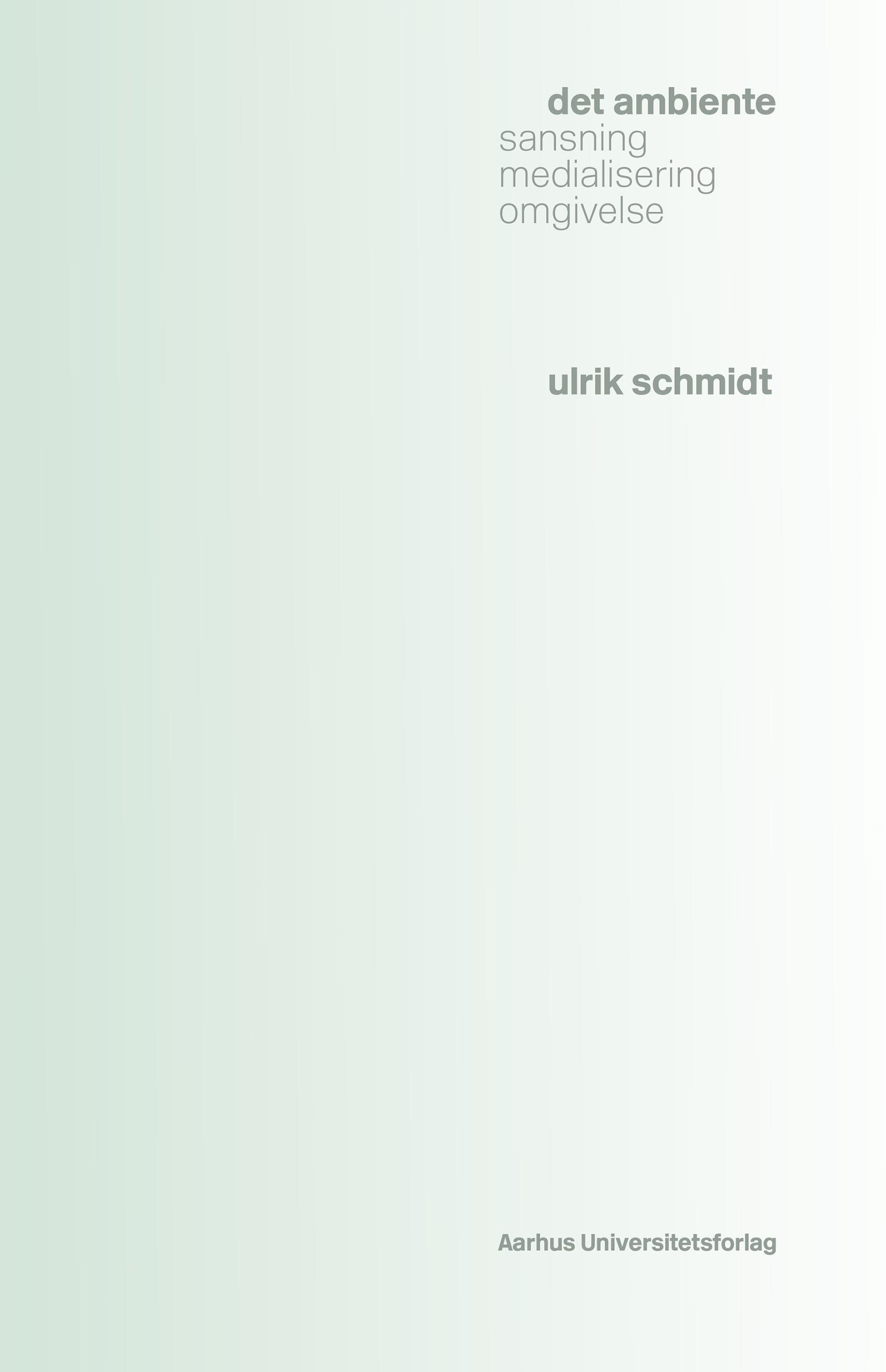 Det ambiente