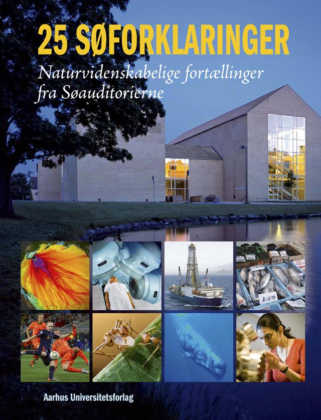25 søforklaringer by Brian Bech Nielsen, Carsten Rabæk Kjaer, Erik Meineche Schmidt
