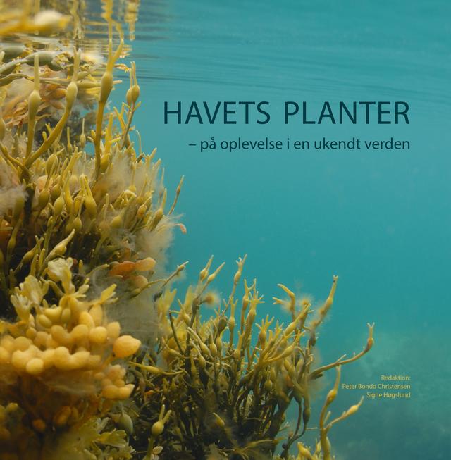Havets planter by Peter Bondo Christensen, Signe Høgslund