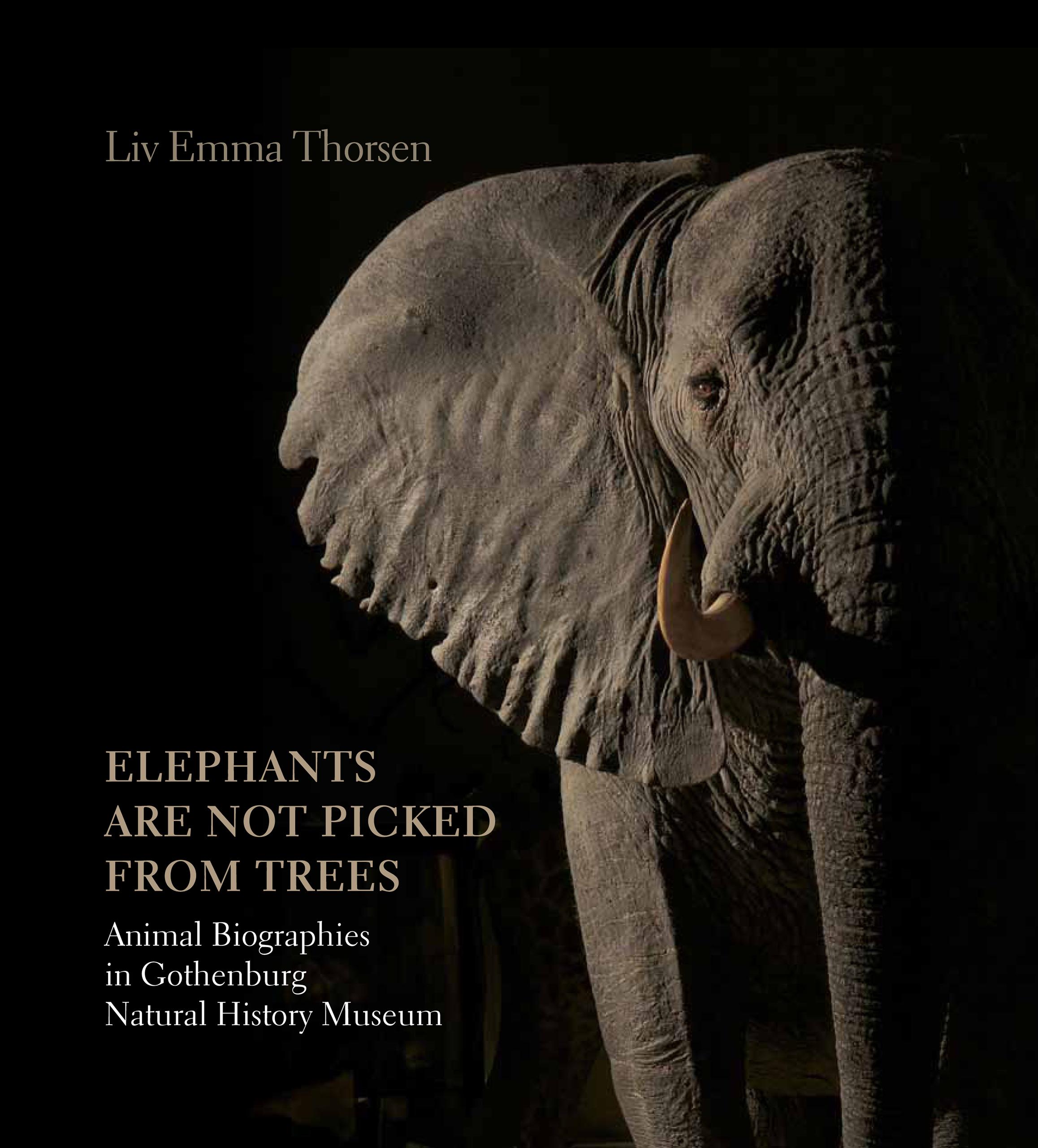 Elephants are not picked from trees