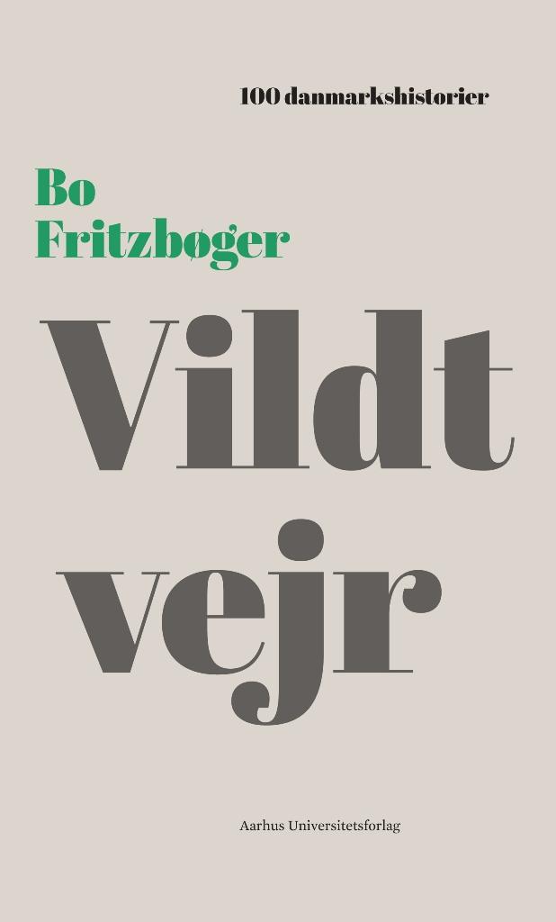 Vildt vejr by Bo Fritzboger