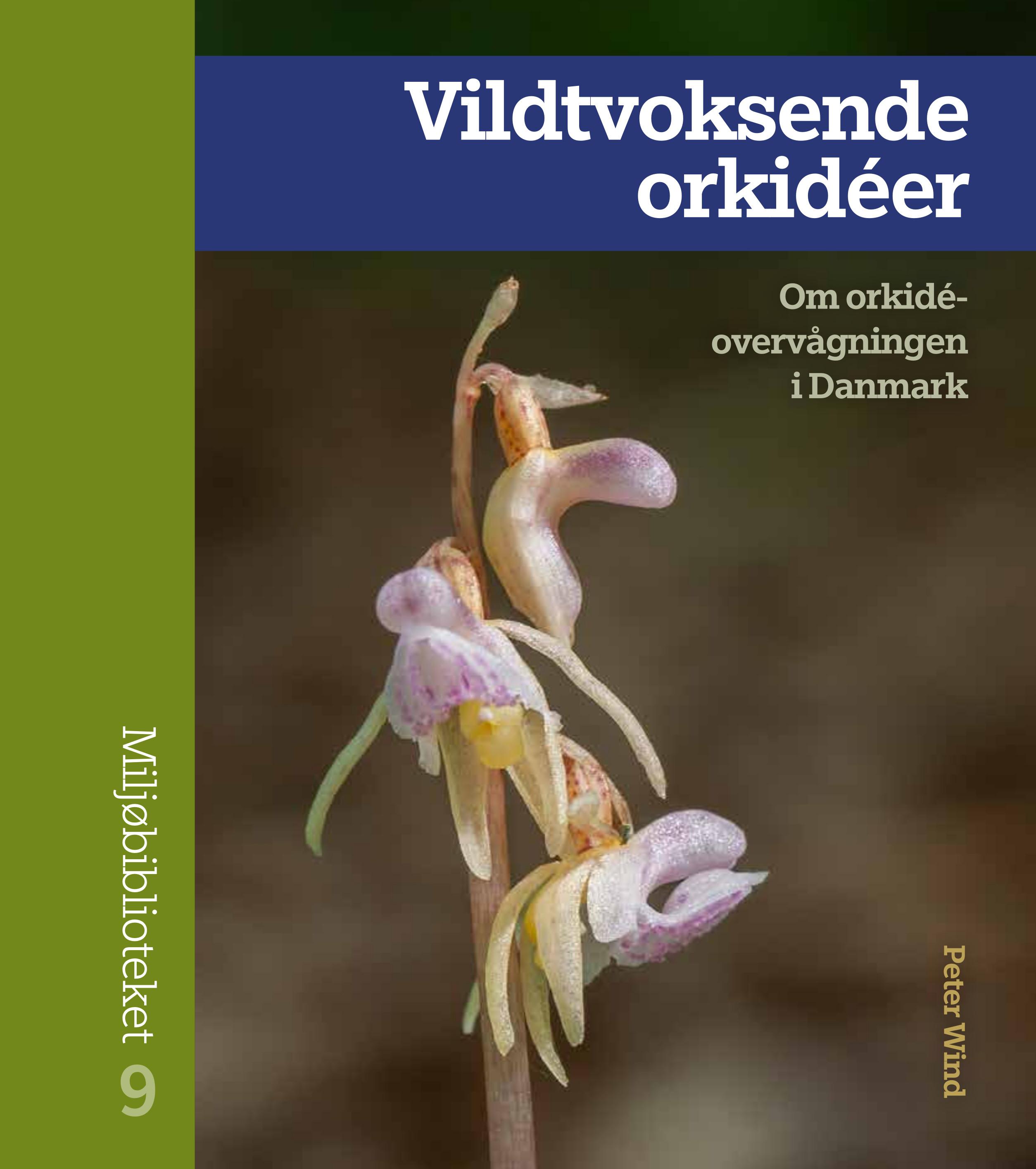 Vildtvoksende orkidéer