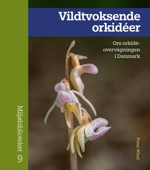 Vildtvoksende orkidéer by Peter Wind
