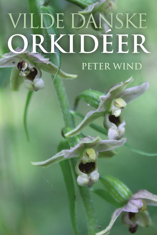 Vilde danske orkidéer by Peter Wind