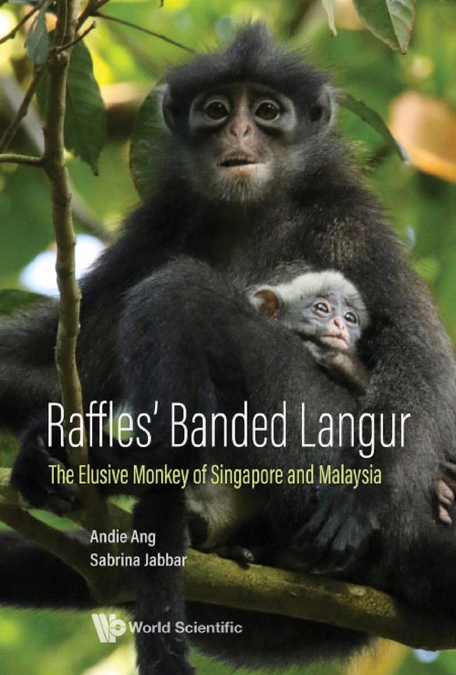 RAFFLES' BANDED LANGUR by Andie Ang, Sabrina Jabbar