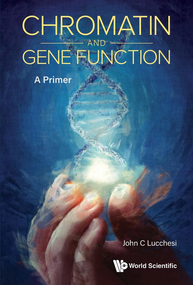 CHROMATIN AND GENE FUNCTION: A PRIMER by John C Lucchesi
