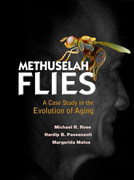 METHUSELAH FLIES by Matos Margarida, Passananti Hardip B, Rose Michael Robertson