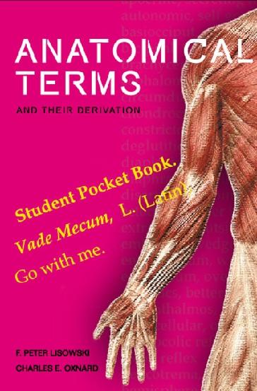 ANATOMICAL TERMS & THEIR DERIVATION