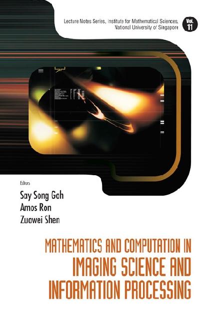 MATHS & COMPUTATION IN IMAGING...(V11) by Goh Say Song, Ron Amos, Shen Zuowei