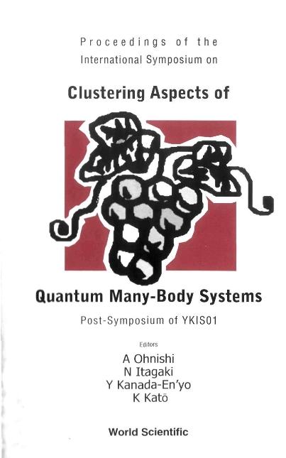 CLUSTERING ASPECTS OF QUANTUM MANY...