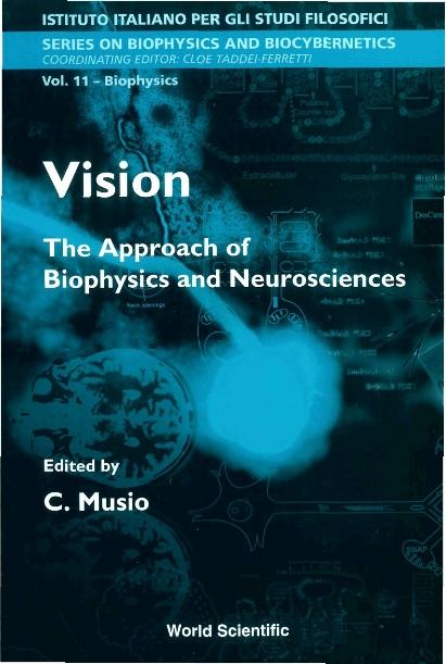 VISION                             (V11) by Musio C