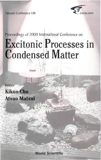 EXCITONIC PROCESSES IN CONDENSED MATTER by Cho Kikuo, Matsui Atsuo