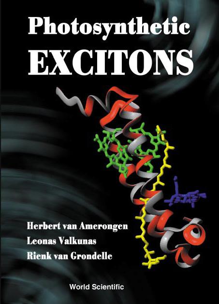 PHOTOSYNTHETIC EXCITONS
