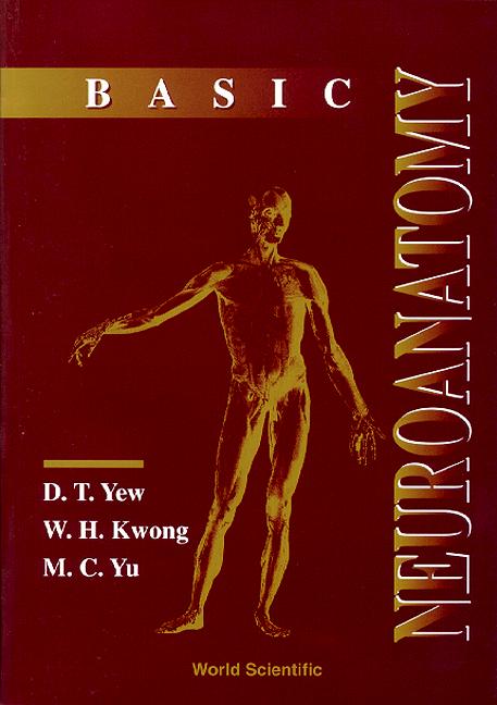 BASIC NEUROANATOMY