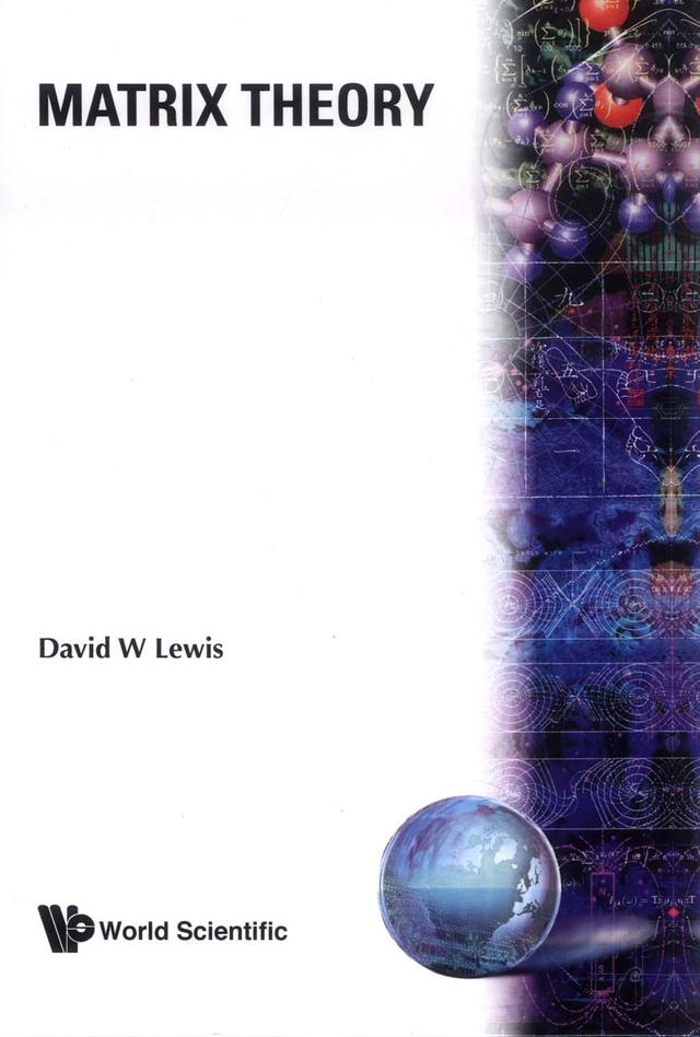MATRIX THEORY by David W Lewis