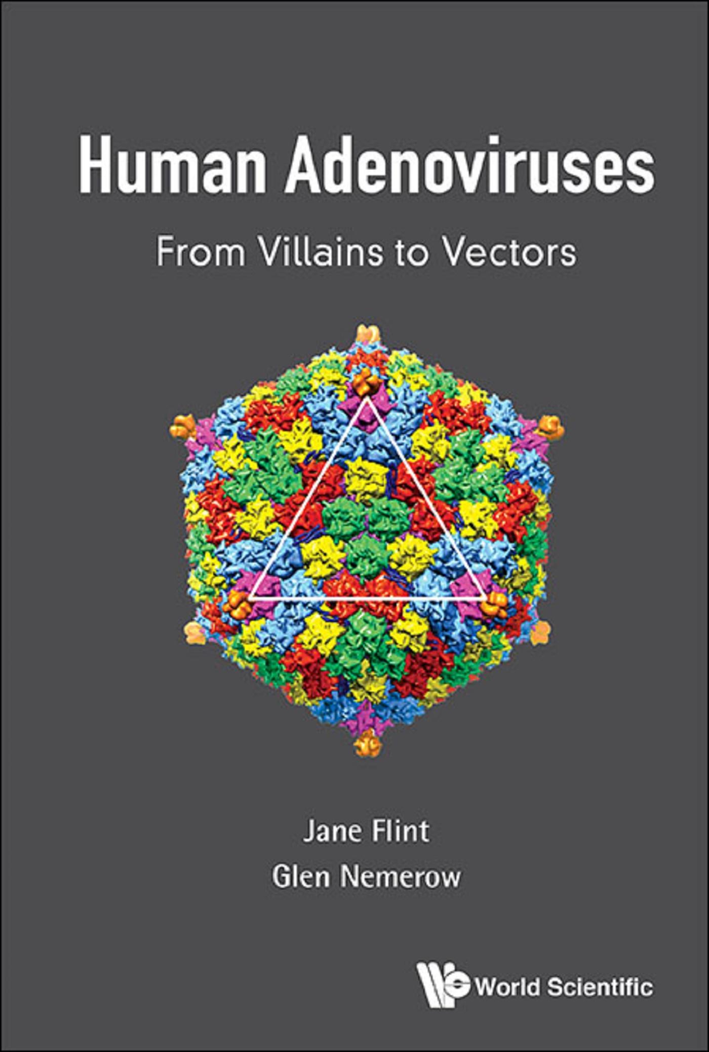 HUMAN ADENOVIRUSES: FROM VILLAINS TO VECTORS
