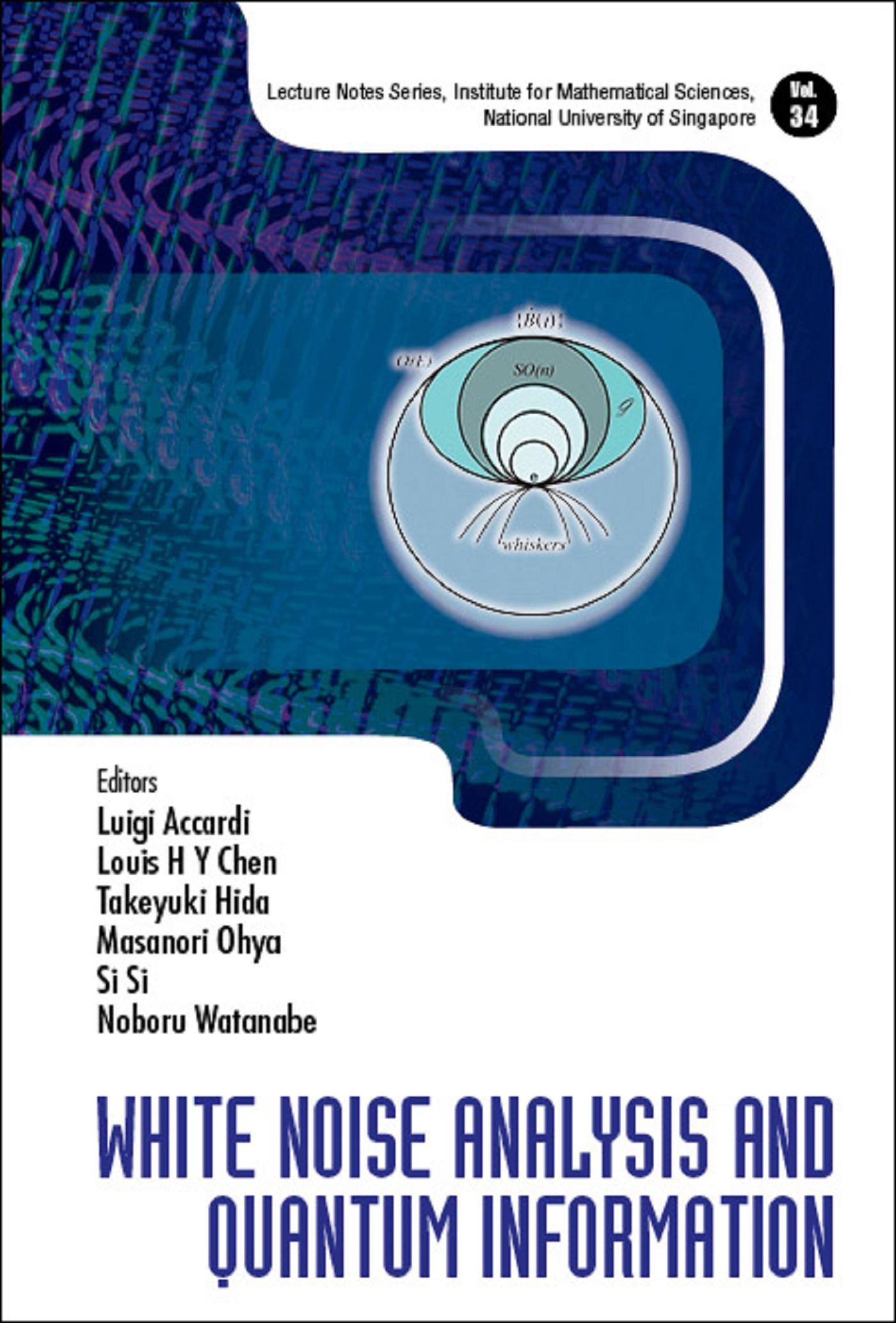 WHITE NOISE ANALYSIS AND QUANTUM INFORMATION