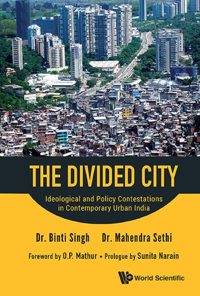DIVIDED CITY, THE by Binti Singh, Mahendra Sethi