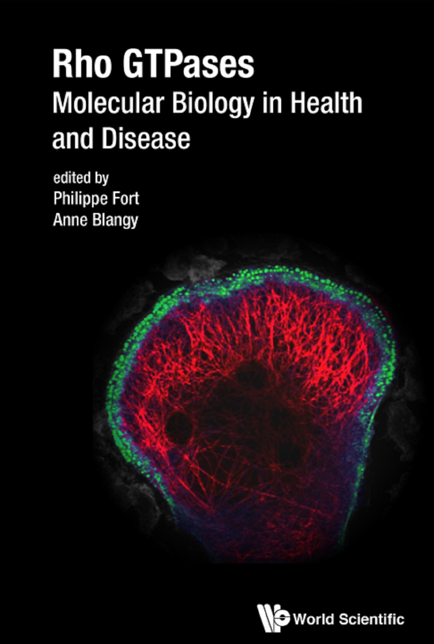 RHO GTPASES: MOLECULAR BIOLOGY IN HEALTH AND DISEASE