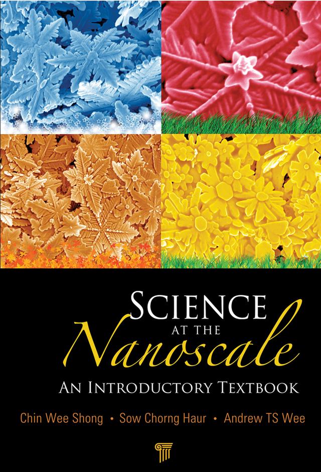 Science at the Nanoscale by Andrew T. S. Wee, Chin Wee Shong, Chorng Haur Sow