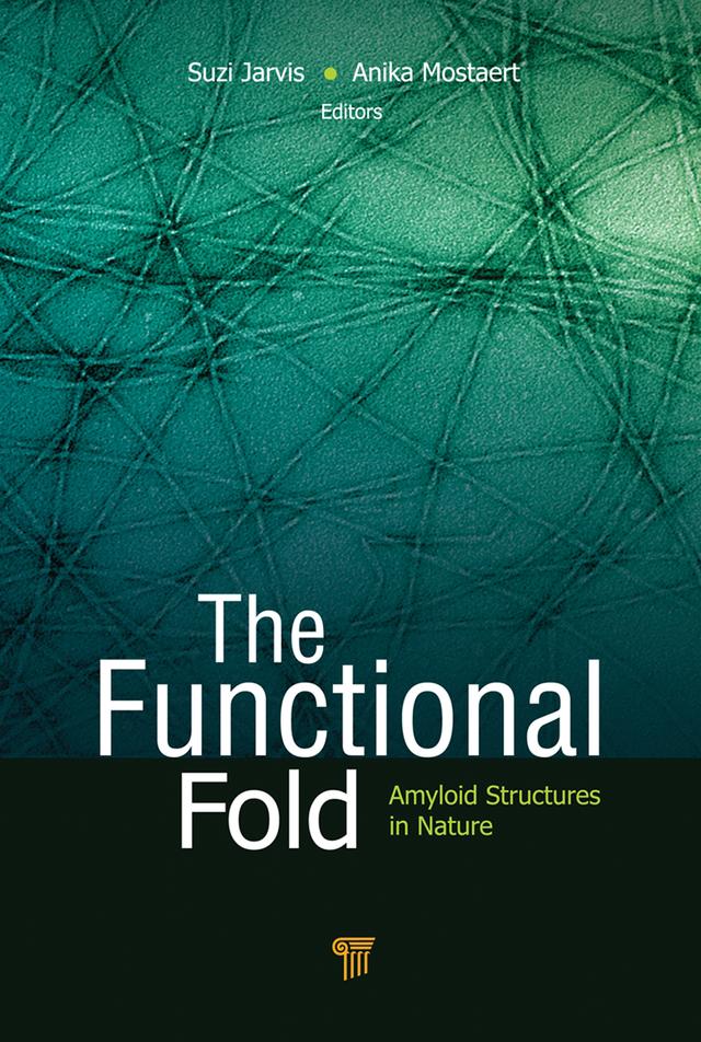 The Functional Fold by Anika Mostaert, Suzi Jarvis