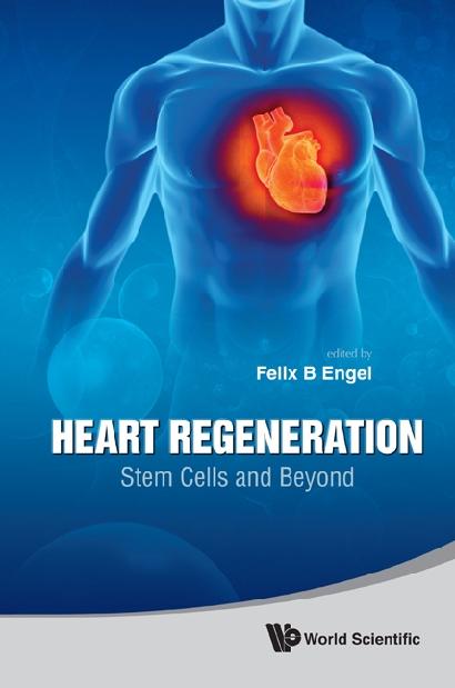 HEART REGENERATION: STEM CELLS & BEYOND