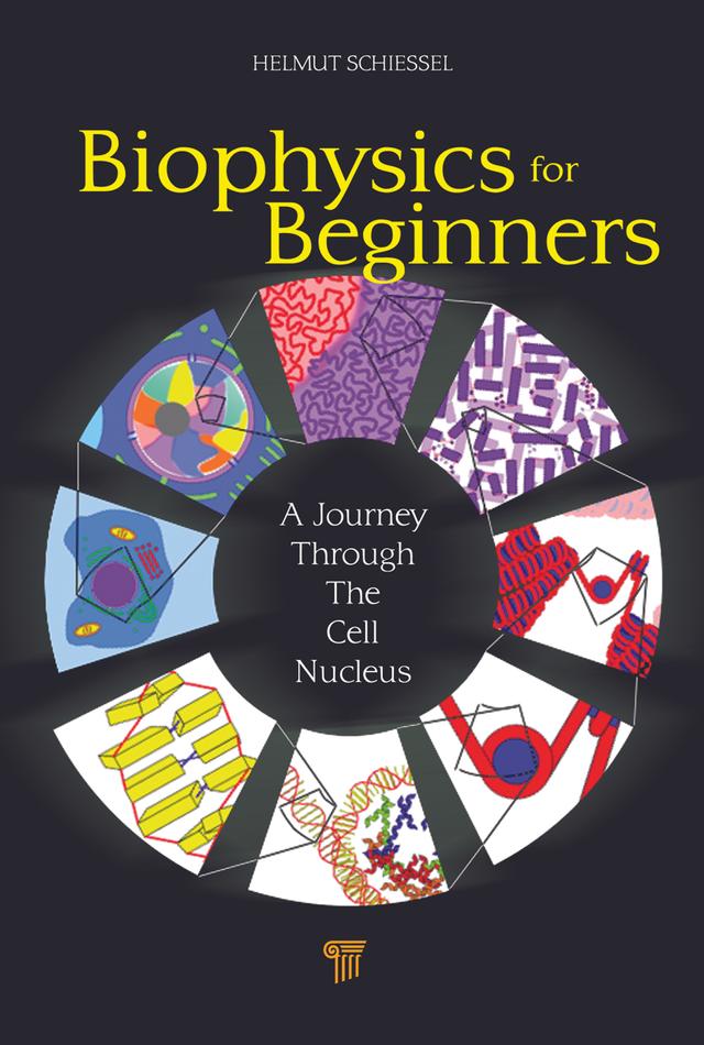 Biophysics for Beginners by Helmut Schiessel