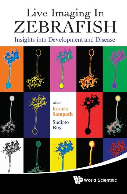 LIVE IMAGING IN ZEBRAFISH by Roy Sudipto, Sampath Karuna