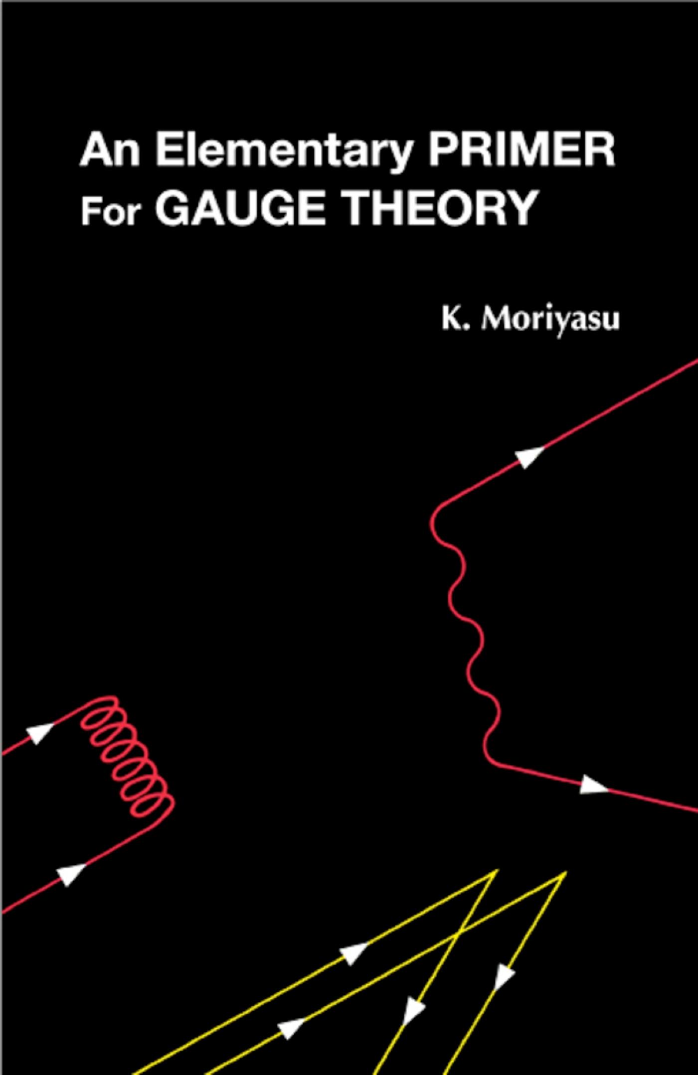 ELEMENTARY PRIMER FOR GAUGE THEORY,AN