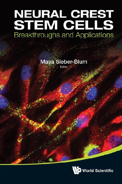 NEURAL CREST STEM CELLS