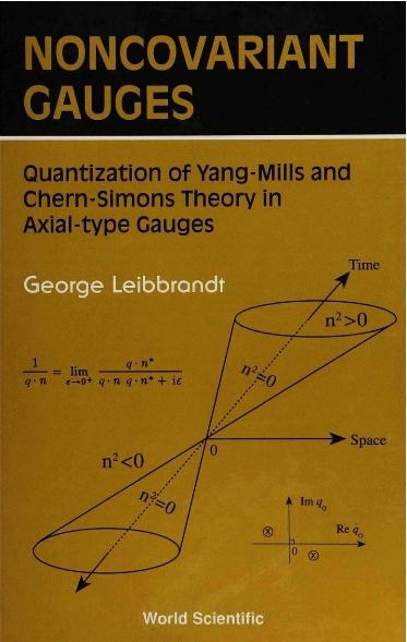 NONCOVARIANT GAUGES by Leibbrandt George