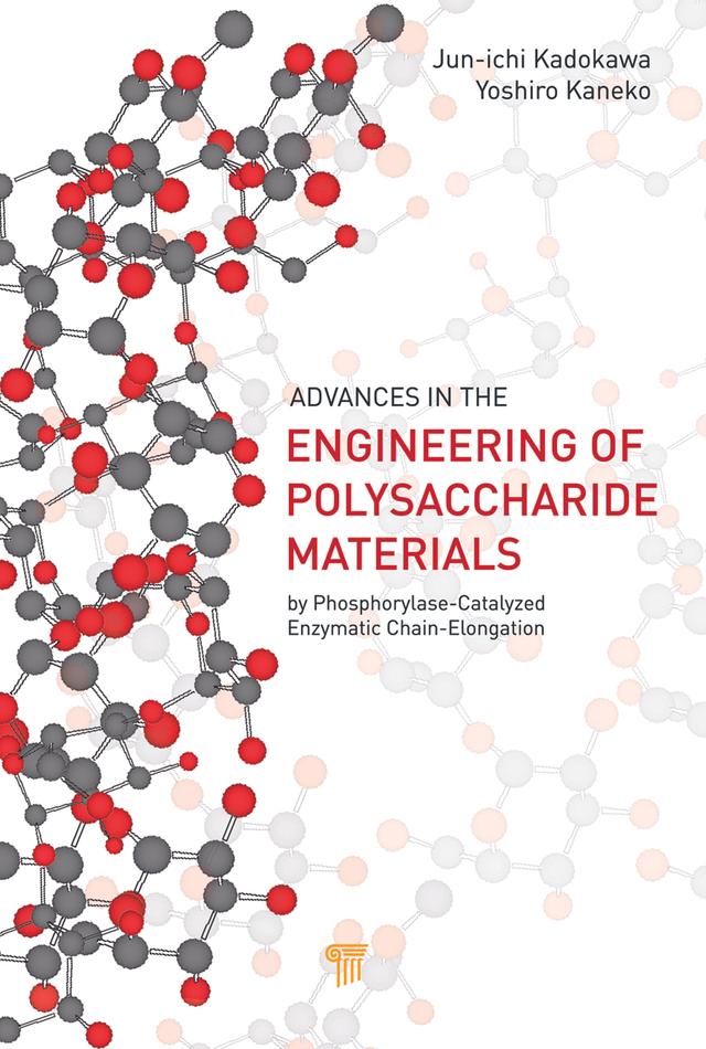 Advances in the Engineering of Polysaccharide Materials by Jun-ichi Kadokawa, Yoshiro Kaneko