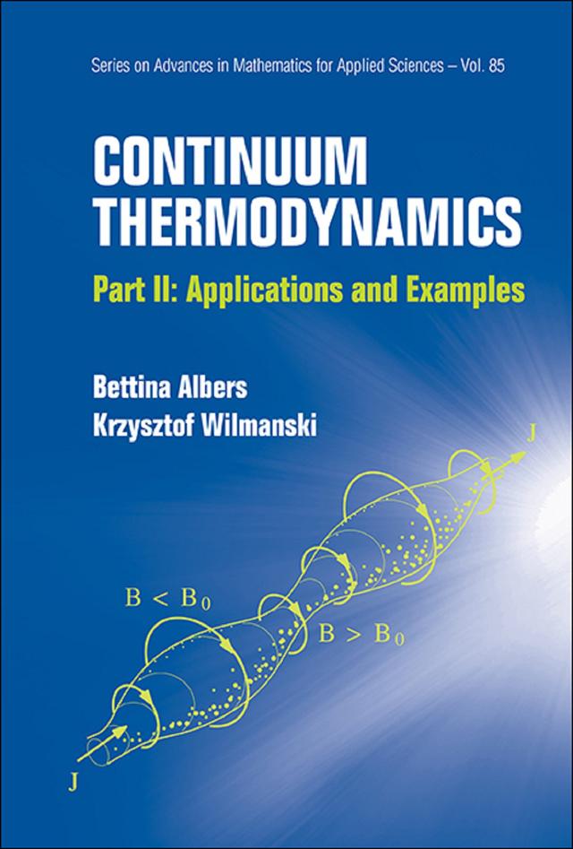 CONTINUUM THERMODYNAMICS: P2:APPL & EXAM by Bettina Albers, Krzysztof Wilmanski
