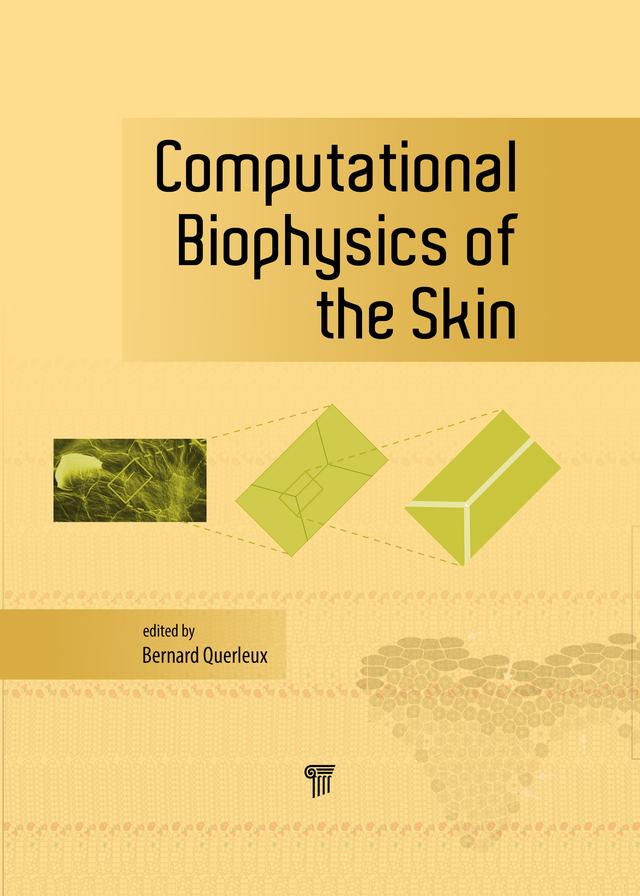 Computational Biophysics of the Skin by Bernard Querleux