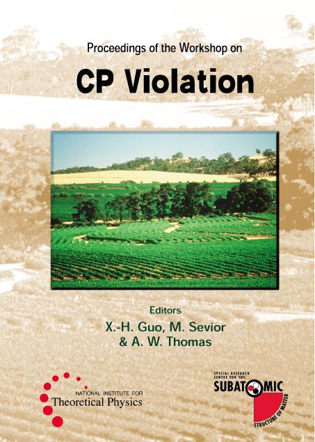 CP VIOLATION
