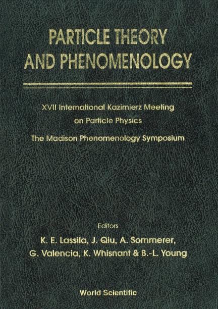 PARTICLE THEORY AND PHENOMENOLOGY