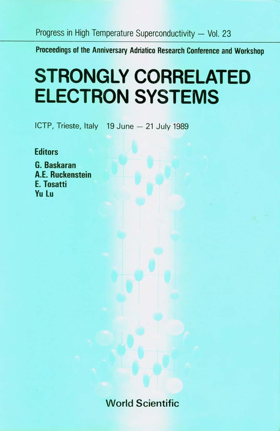 STRONGLY CORRELATED ELECTRON SYSTEM(V23)