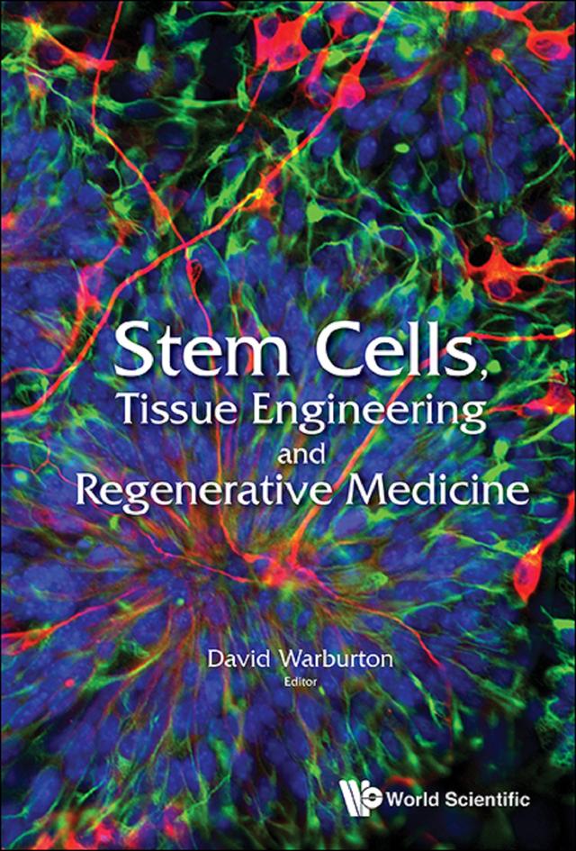 STEM CELLS, TISSUE ENGINEERING AND REGENERATIVE MEDICINE by David Warburton