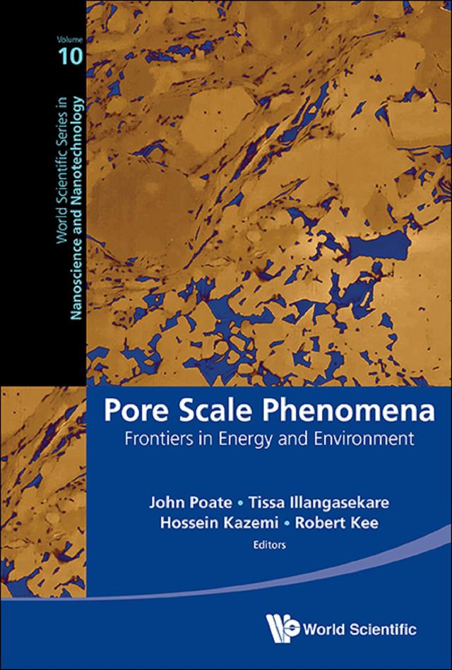 PORE SCALE PHENOMENA by Hossein Kazemi, John M Poate, Robert Kee, Tissa Illangasekare