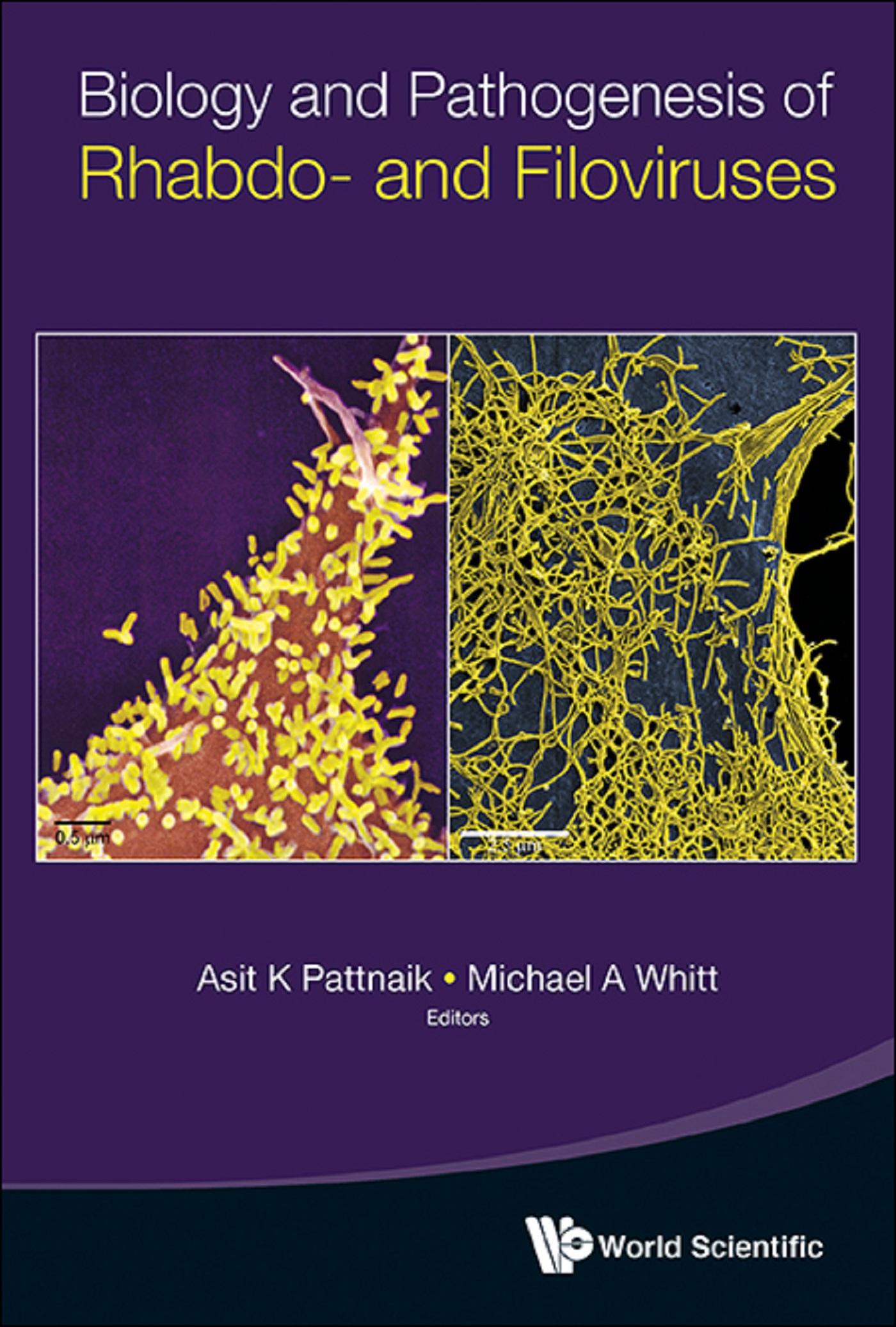 BIOLOGY AND PATHOGENESIS OF RHABDO- AND FILOVIRUSES