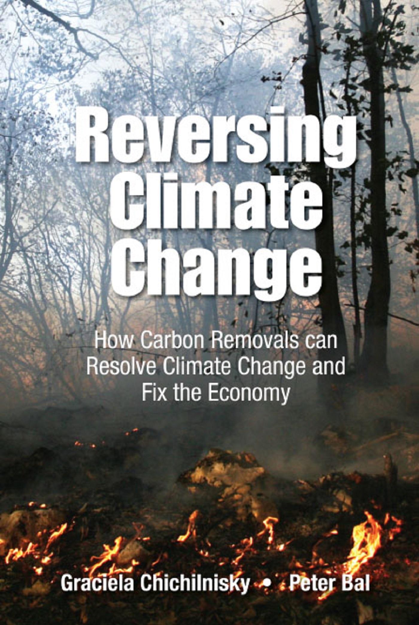 REVERSING CLIMATE CHANGE