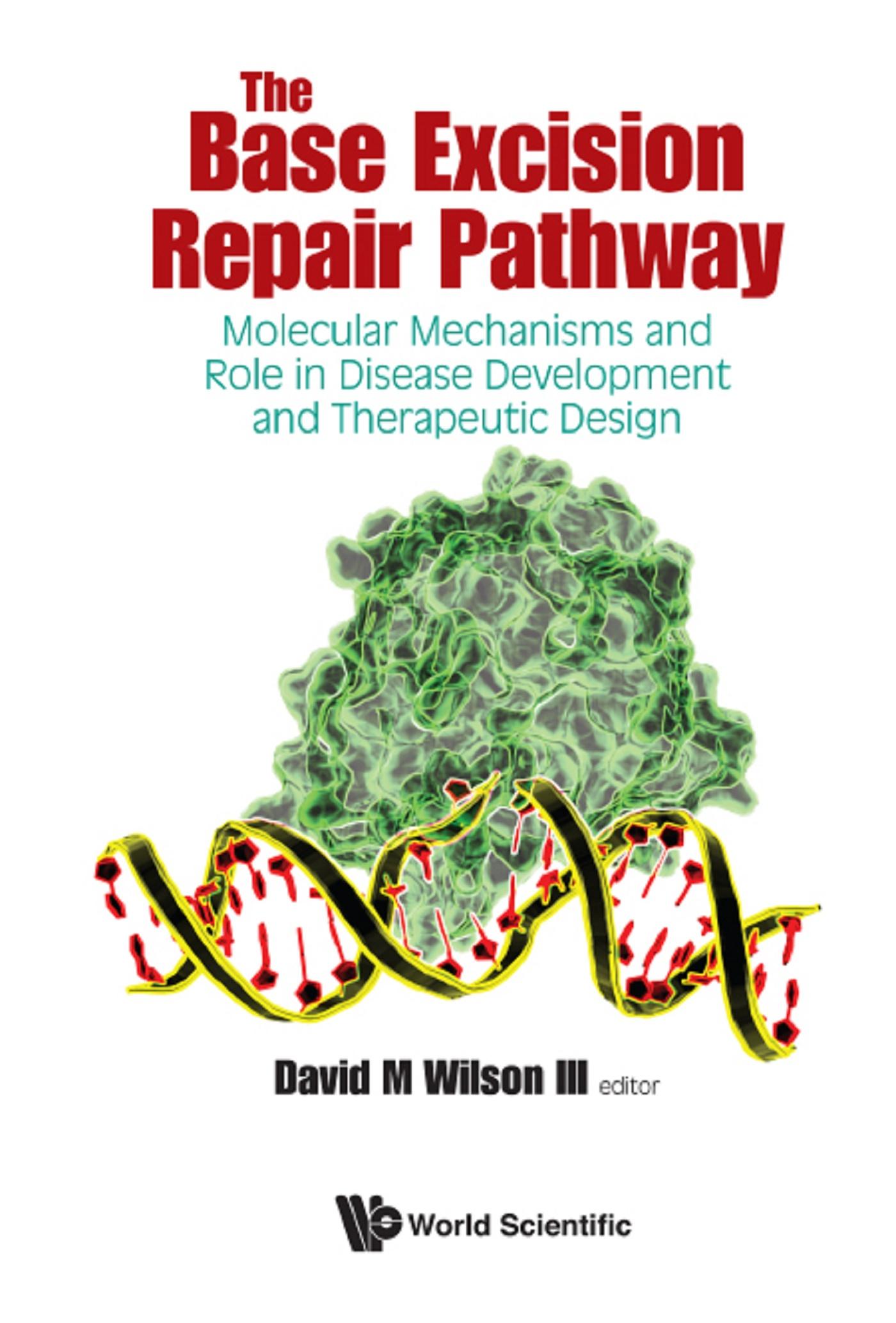 BASE EXCISION REPAIR PATHWAY, THE