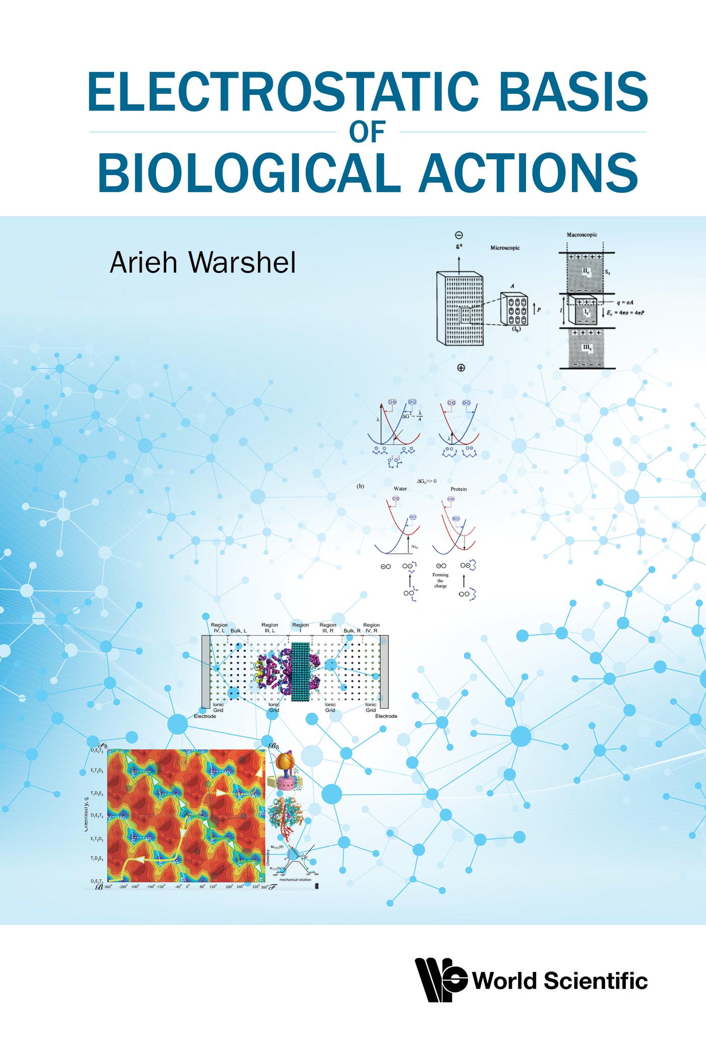 ELECTROSTATIC BASIS OF BIOLOGICAL ACTIONS