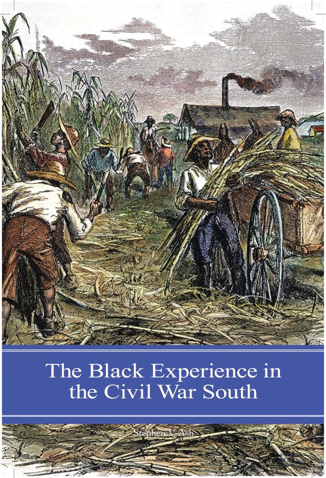 The Black Experience in the Civil War South by Stephen V. Ash
