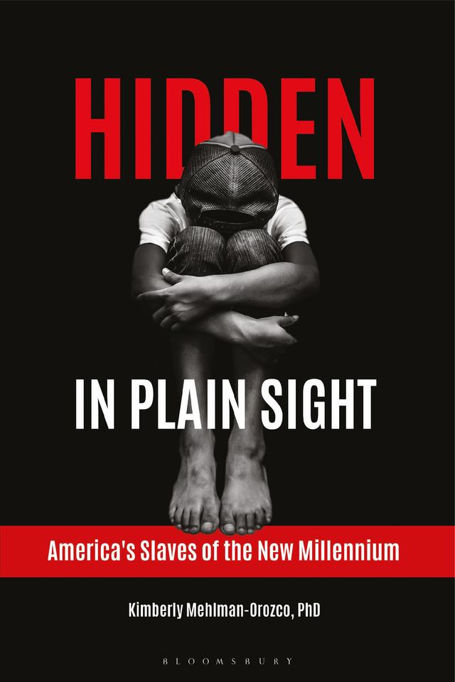 Hidden in Plain Sight by Kimberly Mehlman-Orozco