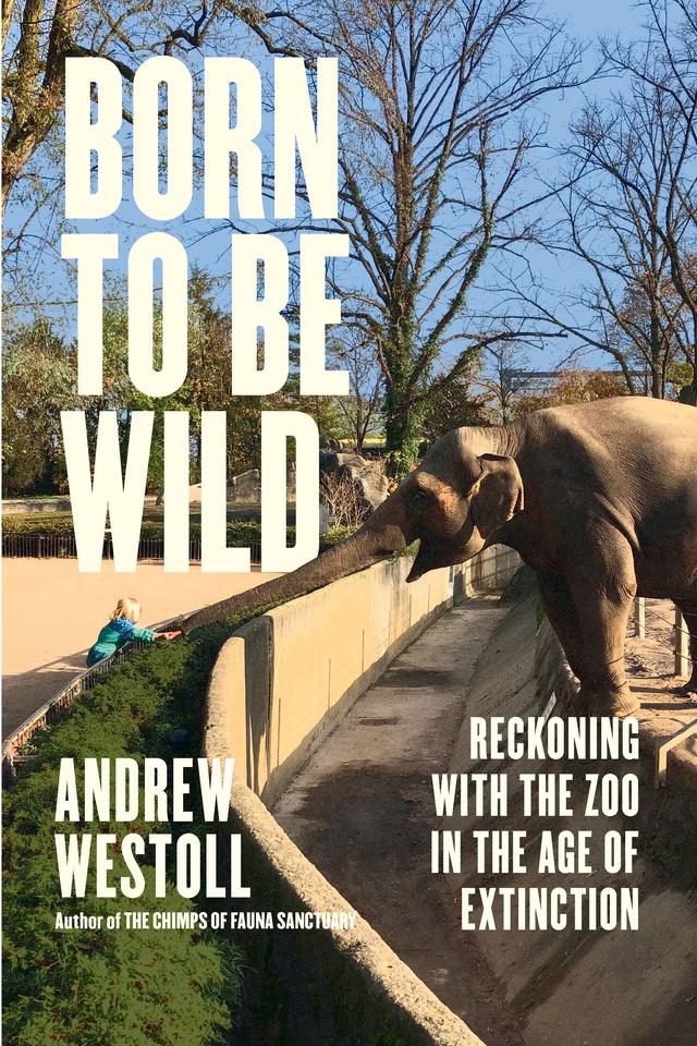 Born to Be Wild by Andrew Westoll