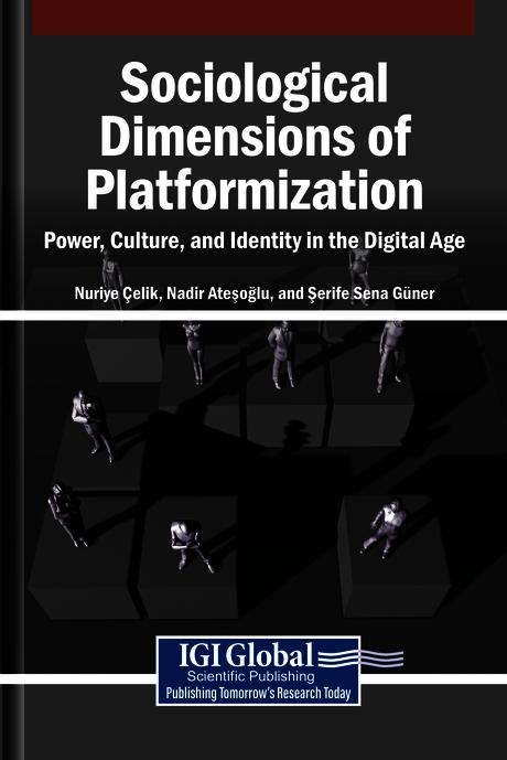 Sociological Dimensions of Platformization: Power, Culture, and Identity in the Digital Age