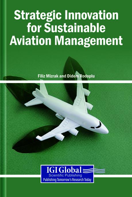 Strategic Innovation for Sustainable Aviation Management