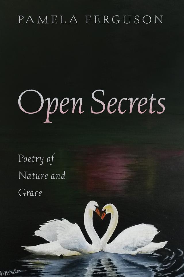 Open Secrets by Pamela Ferguson